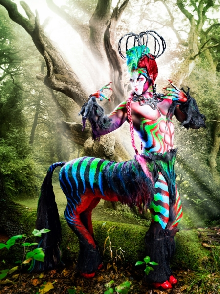Photograph Fernando Garde Centaury on One Eyeland